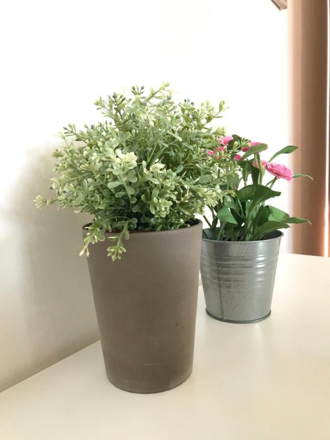 살리온제 Casa Giulia 아파트 외부 사진